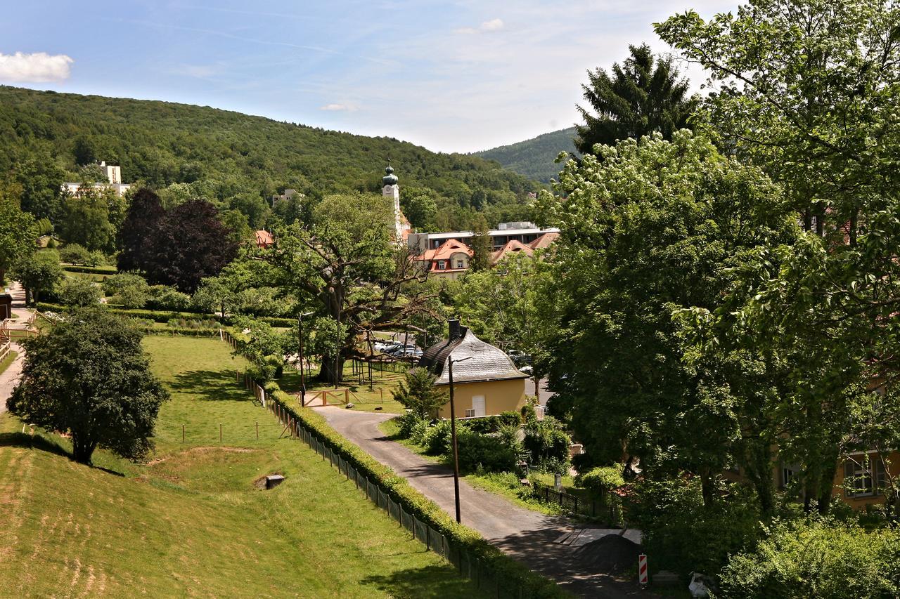 Rhoen Hotel Waldcafe St. Georg Staatsbad Brückenau Eksteriør bilde